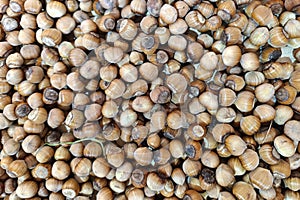 hazelnut placer, natural background of nuts