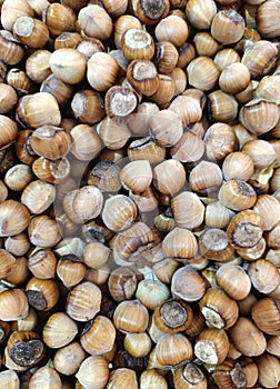 hazelnut placer, natural background of nuts