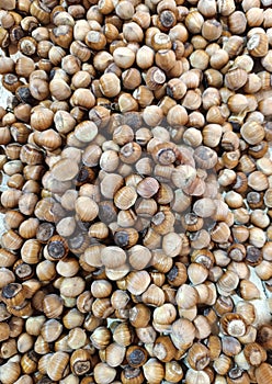 hazelnut placer, natural background of nuts