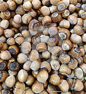 hazelnut placer, natural background of nuts