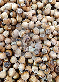 hazelnut placer, natural background of nuts