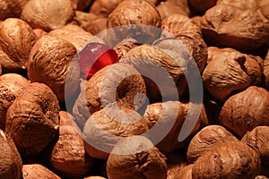 Hazelnut and pomegrante seeds photo
