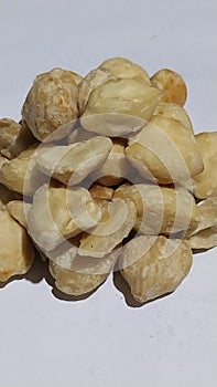 hazelnut seeds that are useful as spices and a source of oil, white background