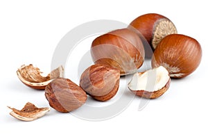 Hazelnut Shell