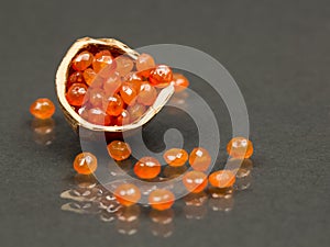 Hazelnut shell with carnelian faceted gems