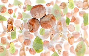 Hazelnut Slice and Leaf Abstract