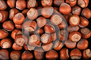 Hazelnut texture