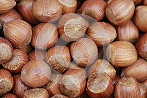 Hazelnut texture