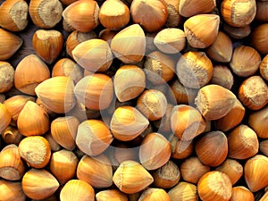 Hazelnut texture background