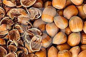 Hazelnut texture
