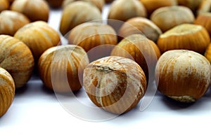 Hazelnut unrefined chaotically lying on white background