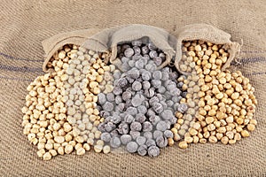 Hazelnut varieties on linen background and linen lathes. Roasted shelled hazelnuts, shelled hazelnuts and shellless roasted