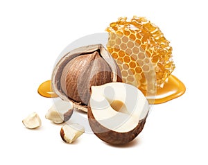 Hazelnut and vertical honeycomb piece isolated on white background