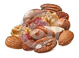 Hazelnut, walnut, almond, brazil nut, pecan, cranberry and raisin isolated on white background