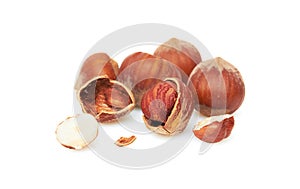 Hazelnut on a white background