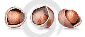 Hazelnut on white background. Collection of three cracked filbert nuts