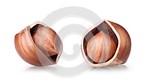Hazelnut on white background. Collection of two cracked filbert nuts