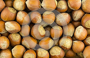 Hazelnut whole walnut brown brown shell set pattern many nutwood