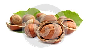 Hazelnuts