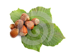 Hazelnuts