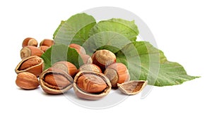 Hazelnuts