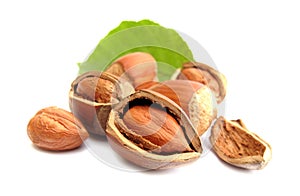 Hazelnuts