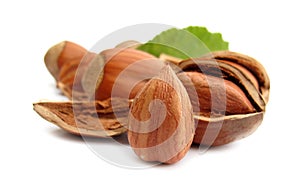 Hazelnuts