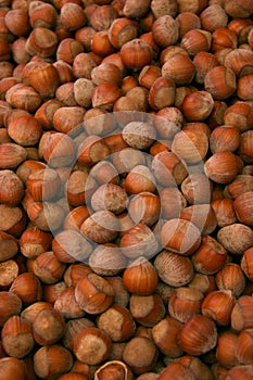 Hazelnuts