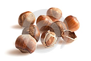 Hazelnuts