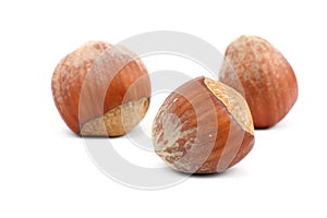 Hazelnuts