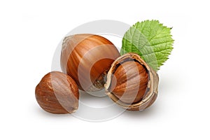 Hazelnuts