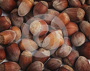 Hazelnuts