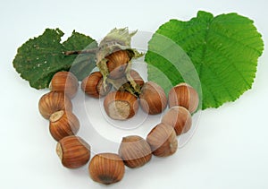 Hazelnuts