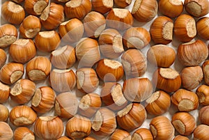 hazelnuts