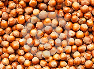 Hazelnuts background