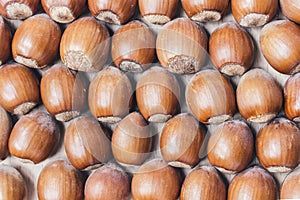 Hazelnuts background