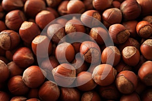 Hazelnuts background, close up