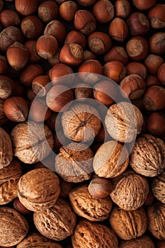 Hazelnuts background, close up