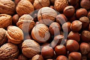 Hazelnuts background, close up