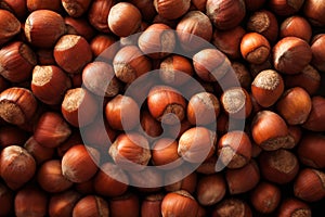Hazelnuts background, close up