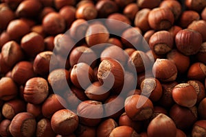 Hazelnuts background, close up