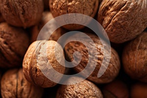 Hazelnuts background, close up