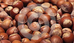 Hazelnuts. Hazelnuts background. Hazelnuts close-up view
