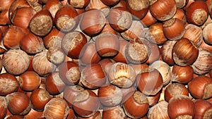 Hazelnuts. Hazelnuts background. Hazelnuts close-up view