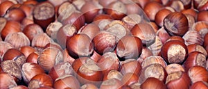 Hazelnuts. Hazelnuts background. Hazelnuts close-up view