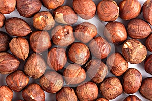 Hazelnuts background. Close up of hazelnuts on white background