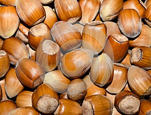 Hazelnuts background