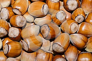 Hazelnuts background