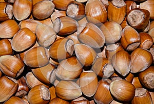 Hazelnuts background