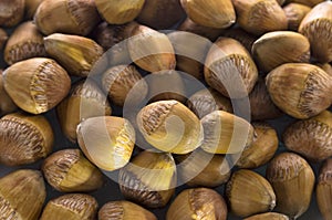 Hazelnuts background, texture